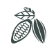 cacao